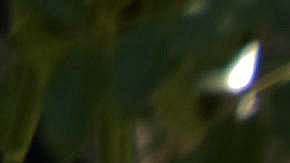 Las fuerzas de seguridad se desplegaron para contener la situación tras los tiroteos en varios puntos de Cancún. EFE