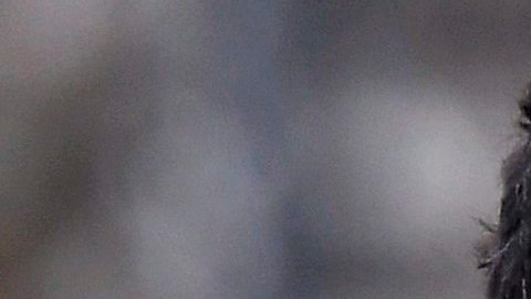 Maradona aseguró que lleva 13 años sin consumir drogas .