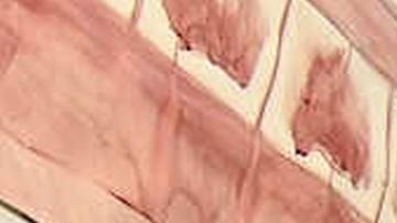 Illma Gore es parte del colectivo de artistas Indecline, responsable de la célebre estatua de Trump desnudo.