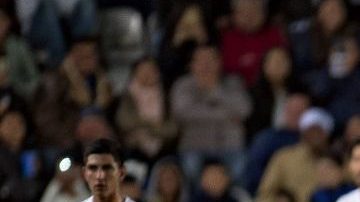 Un perro hizo de las suyas en el Pachuca vs. Jaguares.