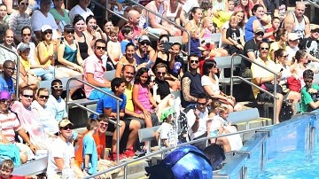 Some aquariums scaling back amid controversy