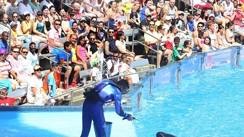 Some aquariums scaling back amid controversy