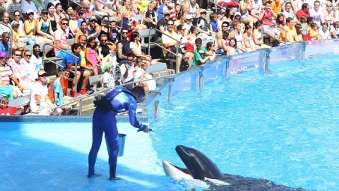 Some aquariums scaling back amid controversy