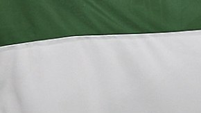 El Club Chapecoense está resuelto a recuperarse de la tragedia que sufrió.