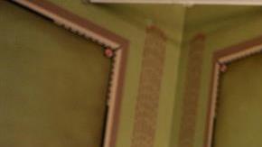 El Brujo Mayor le hizo un ritual a Donald Trump.