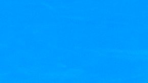 Venus Williams viene con todo para este Abierto de Australia.