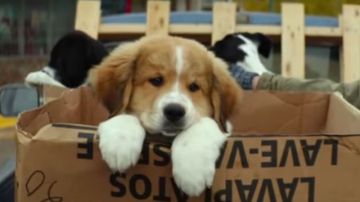 PETA llamó a los amantes de los canes a boicotear la cinta que se estrenaría en enero.