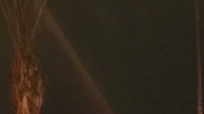 Los bomberos se afanaron durante horas por extinguir las llamas que destruyeron su propia estación y camiones.