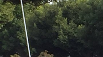 La policía persiguió en coche hasta Westchester a la víctima, que había amenazado con un hacha a varios residentes en El Segundo.