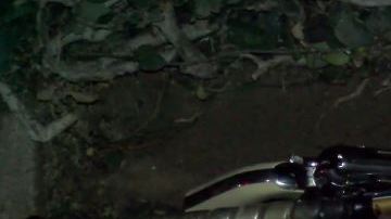 También se recuperó una pistola abandonada cerca de la escena, aunque no se disparó a nadie.