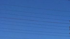 Un operativo policial se enfrentó al sospechoso en un vivero, y durante la confrontación este recibió un disparo.