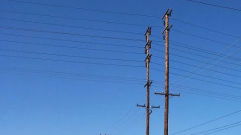 Un operativo policial se enfrentó al sospechoso en un vivero, y durante la confrontación este recibió un disparo.