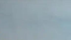 La pelea entre el Bolillo Gómez y Jorge Luis Pinto en el Panamá - Honduras.