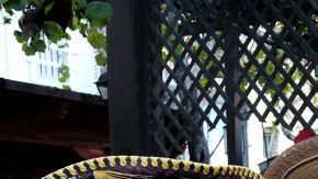 'Mickey' Román 'Alacrán' Berchelt, 'Bandido' Vargas Takashi Miura