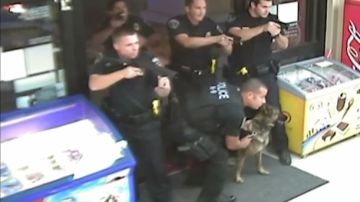 El video muestra el momento en que los agentes balearon a muerte a James Hall en 2015.