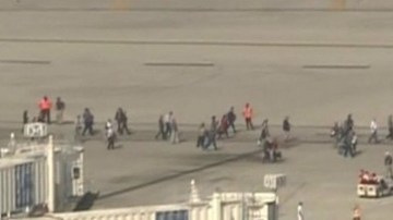 Tiroteo en Fort Lauderdale