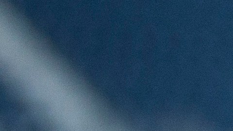 Michael Bradley es una de las leyendas del fútbol estadounidense.