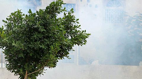 Yemen guerra.