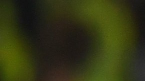 Rooney festeja su gol 250 con el Man U al lado de Ibrahimovic.