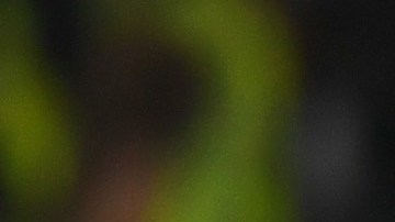 Rooney festeja su gol 250 con el Man U al lado de Ibrahimovic.