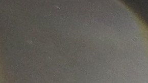 Tom Brady tras vencer a los Steelers para encaminarse al Super Bowl.