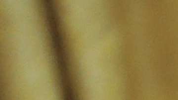 Donald Trump hace amplio uso de las órdenes ejecutivas