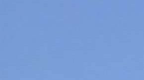 La Directora de Asuntos de Prensa de la Casa Blanca, Helen Aguirre Ferré, asegura que el gobierno de Trump respetará los derechos de los inmigrantes.