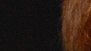 `Canelo´ Alvarez metió alrededor de 50 mil fans al estadio de los Cowboys ante Liam Smith.