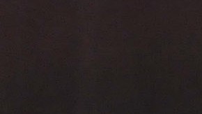 Santa Cruz buscará vengar su única derrota.