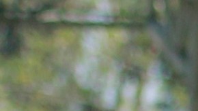 Rafa Márquez envió mensaje de aliento a sus compatriotas.