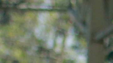 Rafa Márquez envió mensaje de aliento a sus compatriotas.