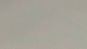 Oribe Peralta agradeció a Trump.