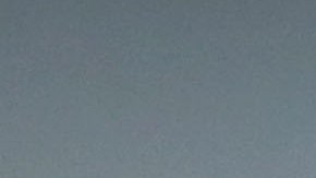 Cecilio Domínguez le dio la victoria al América