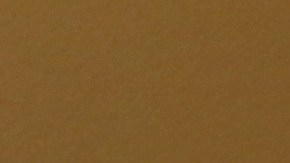 El nuevo líder de la minoría demócrata del Senado, Charles Schumer, prometió luchar por los "DREAMers" y contra el muro fronterizo.  Foto: María Peña/Impremedia