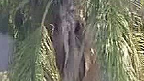 Imagen de KTLA sobre el incidente en la secundaria Crenshaw.