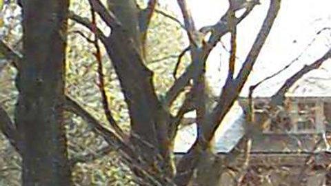 La casa del hallazgo.