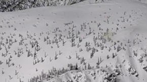 Hace solo unas semanas, un alud en el Monte Baldy de las montañas de San 
Gabriel dejó tres heridos.