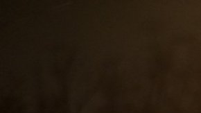 Cientos de personas protestaron contra Pence y en defensa de los derechos de la comunidad LGBT.