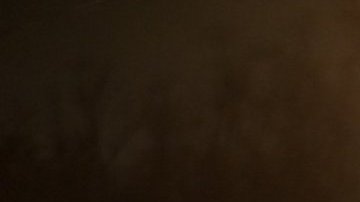 Cientos de personas protestaron contra Pence y en defensa de los derechos de la comunidad LGBT.