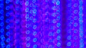 Salma Hayek durante la entrega de los premios SAG