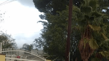 Escena del lugar donde una mujer fue acuchillada hasta la muerte en San Fernando. /Francisco Castro