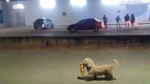 Durante los saqueos en México.