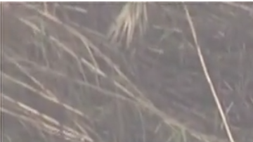 El hombre fue rescatado la mañana del jueves de la corriente del río Los Ángeles.