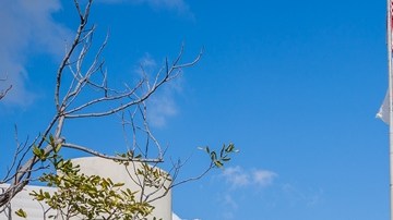Supuestamente, los 227 acres de terreno pasarán a estar ocupados por un parque.