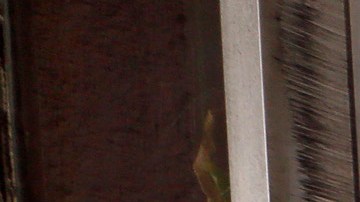 La oficina de Hermandad Mexicana Transnacional esa cerrada hoy en apoyo al Día sin Inmigrantes.