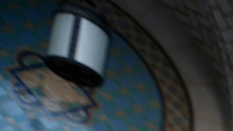 $1 Million Immigrant Fund