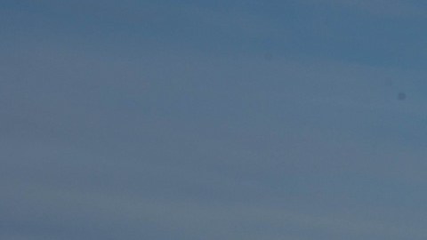 El cuidado del ganado es difícil en Montana.