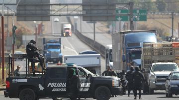 Agentes revisan vehículos en un operativo de seguridad tras la muerte de un presunto líder del cártel de drogas de los Beltrán Leyva.