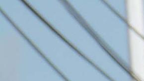 Federales detienen a Francisco Javier Zazueta Rosales, alias "Pancho Chimal", jefe de seguridad de un hijo del capo Joaquín "El Chapo" Guzmán.