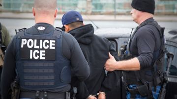 Agentes de ICE detienen a uno de los inmigrantes arrestados en los operativos en Los Ángeles. /Cortesía de ICE